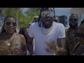 skinny fabulous shameless official music video sine wave riddim