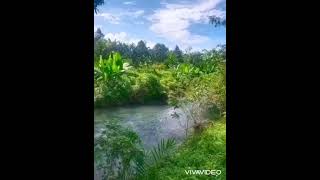 video ที่สวนติดธารน้ำ12ไร่ วิวเขาพร้อมบ้าน