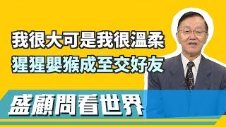 我很大可是我很溫柔！體重相差千倍 猩猩嬰猴成至交好友！