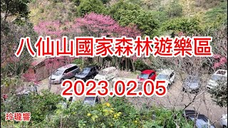 20230205八仙山遊樂區