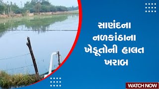 Sanand News | સાણંદના નળકાંઠાના ખેડૂતોની હાલત ખરાબ | Farmers | Gujarat