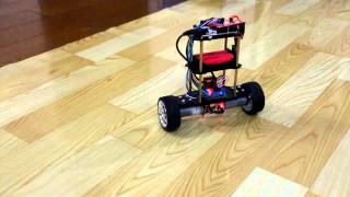 2 Wheel Self Balancing Robot