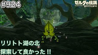 【#924】リリトト湖の北にコログあり！[ゼルダの伝説 ブレスオブザワイルド]