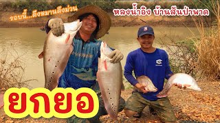 ยกยอ หลงน้ำอิงบ้านสันป่าพาด ►Fishing lifestyle Ep.715