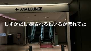 【ANAスイートラウンジ③】4K羽田プレミアムクラス 優先搭乗 ダイヤモンドメンバー 全空港制覇 本館南側 4F JAL JGC SFC 修行 0614