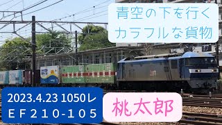 青空の下 ハイカラ貨物列車が通る 1050レ EF210-105 20230423