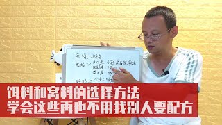 饵料和窝料的选择方法，学会这些再也不用找别人要配方