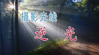 【摄影光线】03 逆光。Backlighting in photographic light.写真光の逆光。사진 조명의 백라이트.