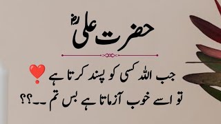 Best Collection Quotes In Urdu | Islamic Quotes In Urdu | Urdu Poetry Status | Urdu shayari
