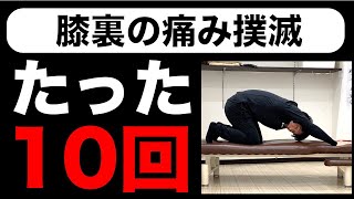 膝裏の痛み撲滅!!たった10回やる骨盤体操[堺市南区光明池整骨院骨盤Lab Corpo]