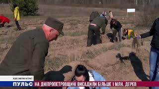 На Дніпропетровщині висадили більше 1 млн. дерев. Випуск від 21.04.2022