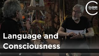 Ned Block - Language and Consciousness