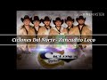 Ciclones Del Norte - Zancudito Loco🎷🎶