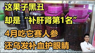 这果子黑丑，却是“补肝肾第1名”！4月吃它赛人参，还乌发补血护眼睛丨李医生谈健康【中医养生】