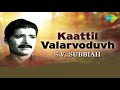 kaattil valarvoduvh s v subbiah bhagavathar tyagaraja carnatic classical music