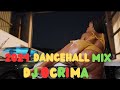 BEST OF 2024 DANCEHALL VIDEO MIX | DJ OCRIMA