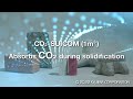 co₂ suicom　a concrete that absorbs co₂ just like natural vegetation