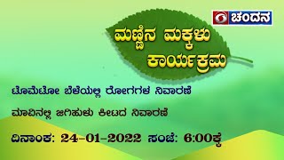 ManninaMakkalu | ಟೊಮೆಟೋ ಬೆಳೆಯಲ್ಲಿ ರೋಗಗಳ ನಿರ್ವಹಣೆ | 24-01-2022 | 06:00PM | DD Chandana