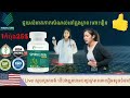 សារ៉ាយសមុទ្រ living gold spirulin ផលិតផល អាមេរិកសុទ្ធ100%