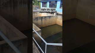 Drinking Water Treatment - sedimentation tanks. පානීය ජල පිරිපහදුවේ මූලික අදියර #shorts