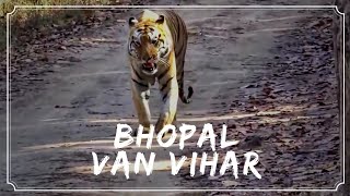 VAN VIHAR NATIONAL PARK  ||LARGEST RESCUE CENTER FOR WILD ANIMALS