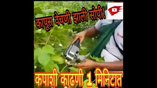 कापुस वेचा झटपट। कापुस वेचणी मशीन । machine for cotton picking. Cotton extraction.