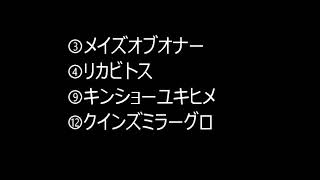 【競馬予想】2018年愛知杯