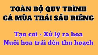 Ôn bài trọn bộ kỹ thuật xử lý cả mùa trái: Từ tạo cơi cuối - xử lý ra hoa - nuôi hoa trái