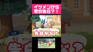 【あつ森】イケメンから愛の告白？！  #どうぶつの森 #あつ森ライブ #Shorts