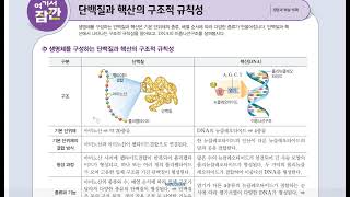 2024년 11월 16일 핵산 (고등통학과학1)