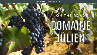 Il Domaine Julien in Borgogna, a Comblanchien | Tannico On The Road