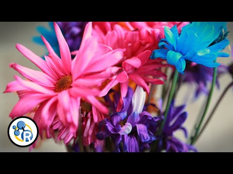 How Can You Make Flowers Last Longer? How Can You Make Flowers Last Longer?