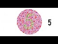 colour blindness for skill test in korea 2024 colour vision test color blindness check