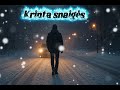 Krinta snaigės (Tavo Ritmas)#lietuviskamuzika#