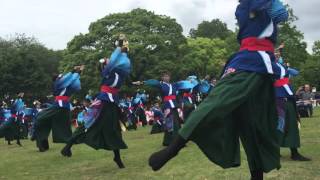 第14回あっぱれ富士 静岡大学お茶ノ子祭々 夢光海 流し