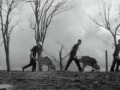 buitenlandse studenten werken in nederland 1 augustus 1946