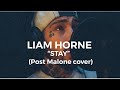 Stay (Post Malone cover) - Liam Horne