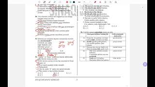 26 Yanvar | 9-cu Sinif Hədəf Kursları Buraxılış Sınağı | Azərbaycan dili | Qrammatika