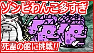 にゃんこ大戦争を猫アレルギーの俺が実況プレイ！リターンズ#71