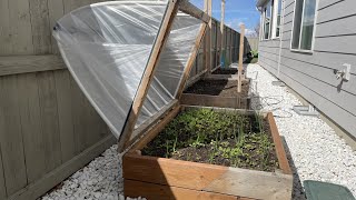 How To Build Raised Bed With Additional Option Hoophouse Hinged