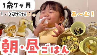 【リアル】1歳児の朝・昼ご飯🍽️一気見せ❗️スプーン食べ上達👶🏻✌️