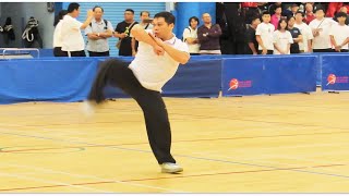 蔡李佛小梅花拳 精武会张民进师傅 世界功夫群英会2023 香港中国武术 中国功夫