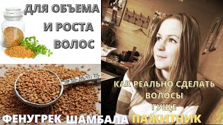 ШАМБАЛА (ПАЖИТНИК) для волос! Мое мнение - MsPolinaBeauty