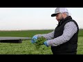 see green light parsley harvested and packed in the field