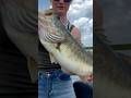 Catching a Lake Okeechobee HOG!!