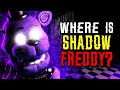 What REALLY HAPPENED to SHADOW FREDDY in FNAF?