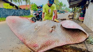 Wow! Villagers cutting stingray fish and beautiful rural street village fish market in Sri Lanka