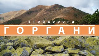 Карпати помилок не пробачають. Осмолода Горгани