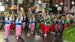 総踊り（乱れて輪踊り！？） 3周目 ロータリー演舞場 東村山久米川阿波踊り大会2024 2024/10/19