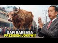 Sampai Sekarang Pak Imam Belum Berani Potong! Sapi Terbesar yang Dikurbankan di Tahun 2024